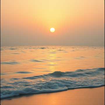 If I could make a wish, It would be Freedom for all of us 🔆☀️🔆