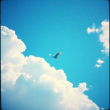 Avis Caerulea (Blue Bird) (Remix by Lux Aeterna)