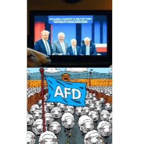 Typisch AFD!!!
