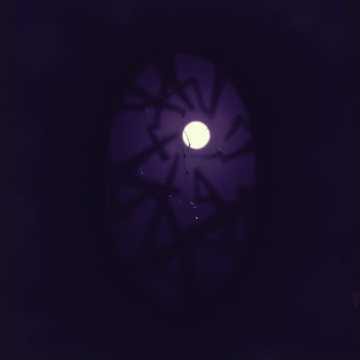 Shadow on My Soul