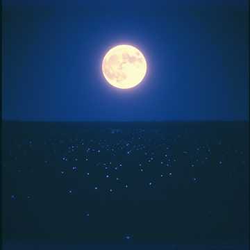 All For You (Cover)