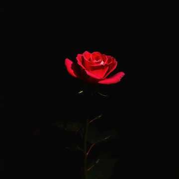 dont_drop_it_eq (Remix)