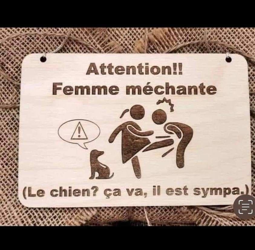 Merci (texte Sonine)