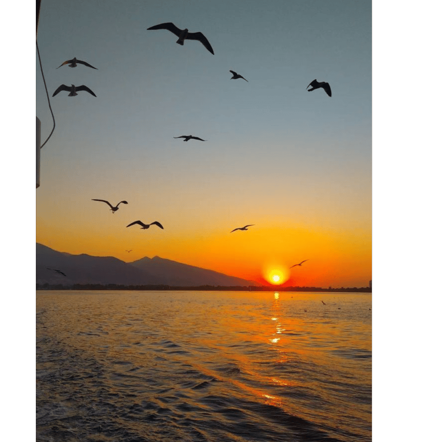 “Al caer el sol”