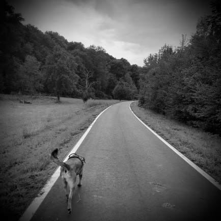 Der Sommer ist vorbei (Version II) (Remix)