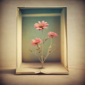書摘
