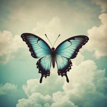 Langit yang sama