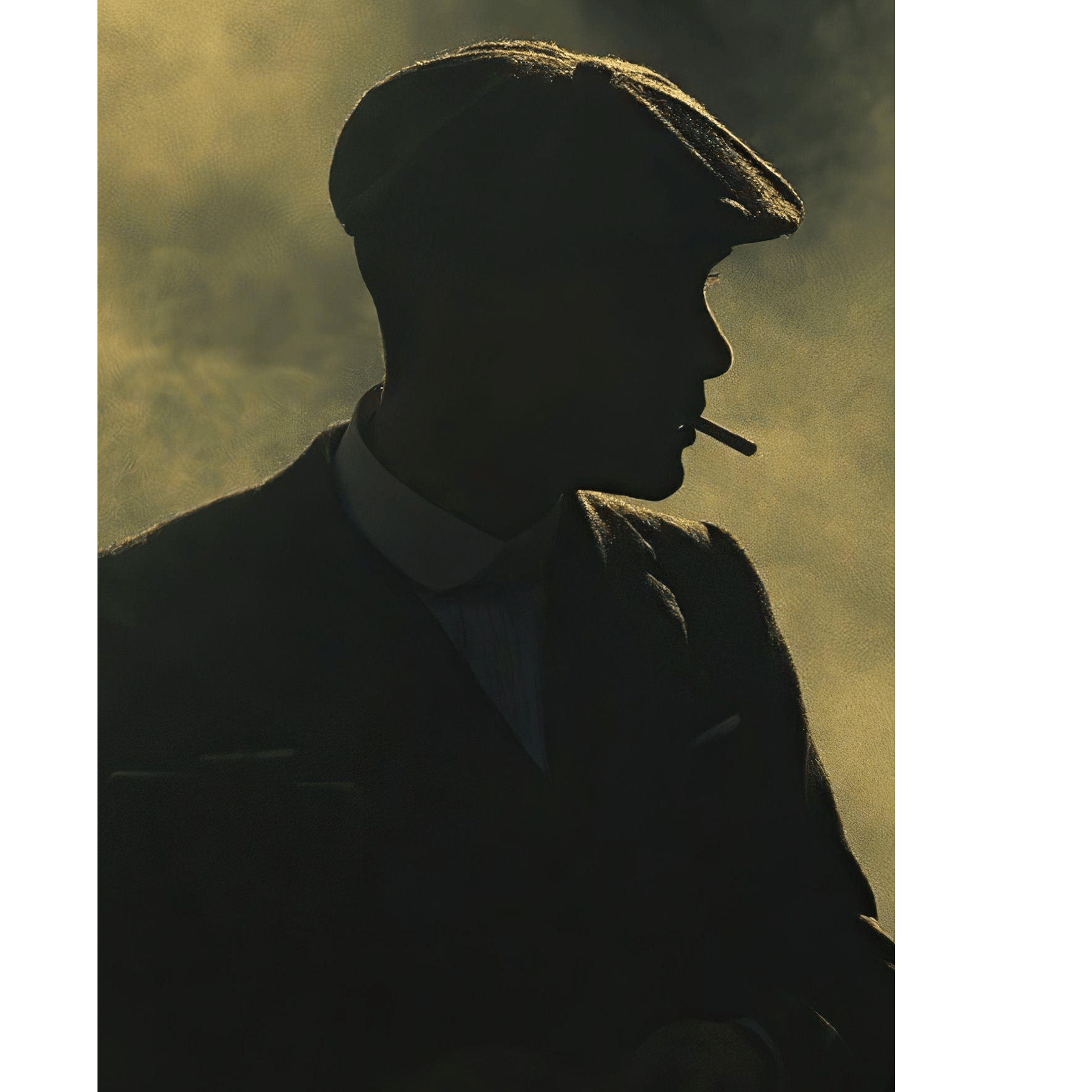 Shelby | The Gentleman