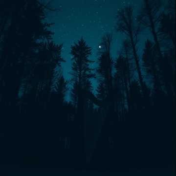 Nacht ohne Mond und Sterne