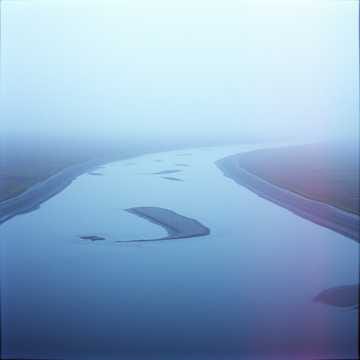 The Calm and the Noise/