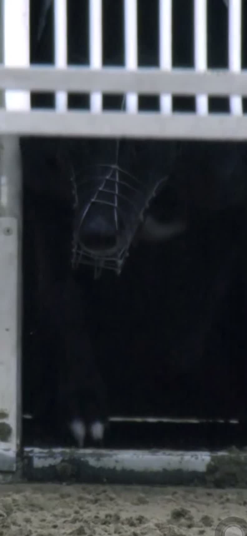 Eyes closed, head first
