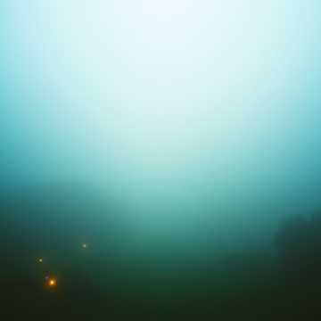 Voice in the Mist