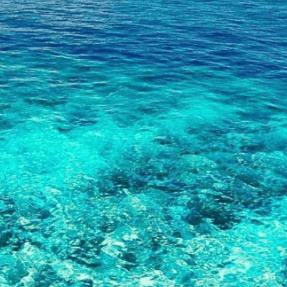 August Cyan Sea