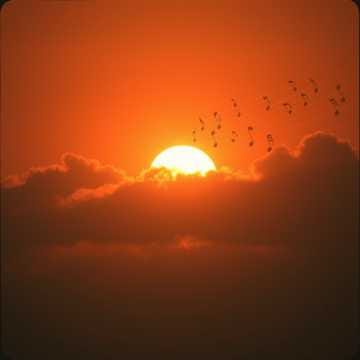 Hari Cerah / Better Days