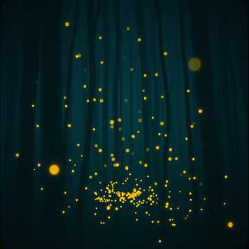 LUMIÈRE NOIRE
