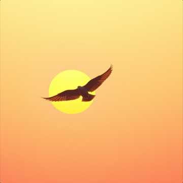 Paloma (A.Calamaro) (Remix)