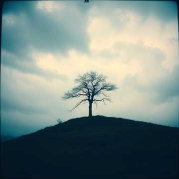 Your Sudden Goodbye (English Version)