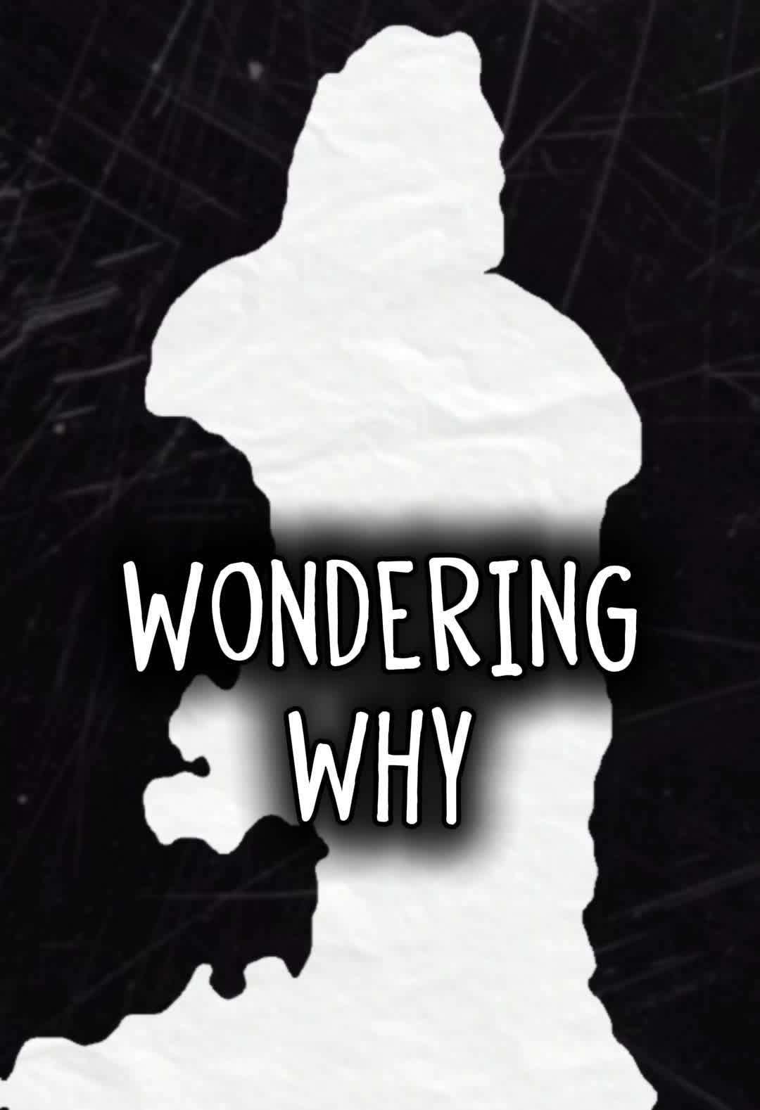 Wondering Why, again