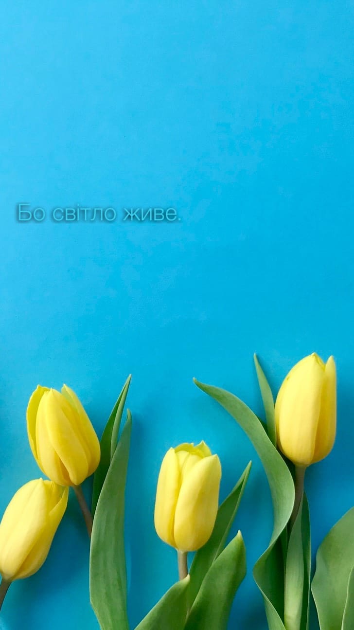 Гори кличуть полум'я в серці [з v4.5+]