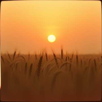 I ching/주역 Korean music Where the Wind Meets the Earth/불어오는 바람을 맞아/20 풍지관