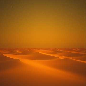 Shadows on the Sand