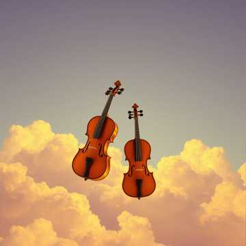Violin's Galore 