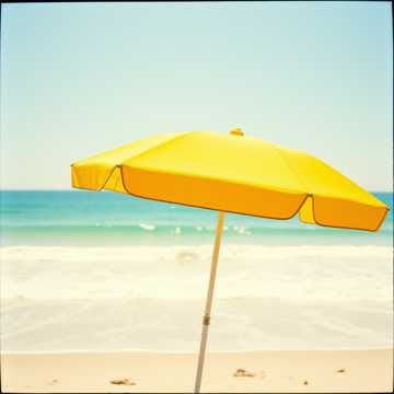 Summer Holiday