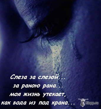 Мой финал
