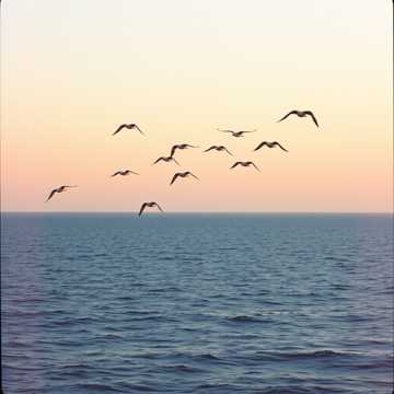 Wings of Hope 〜かもめの笑顔〜［EN&JP］