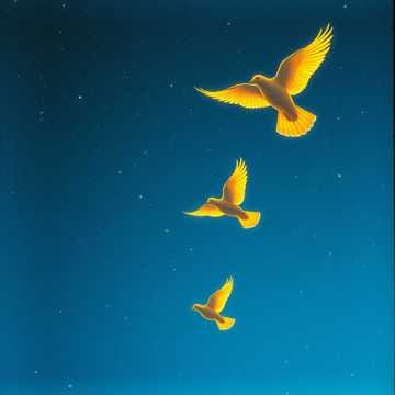 In the Sky