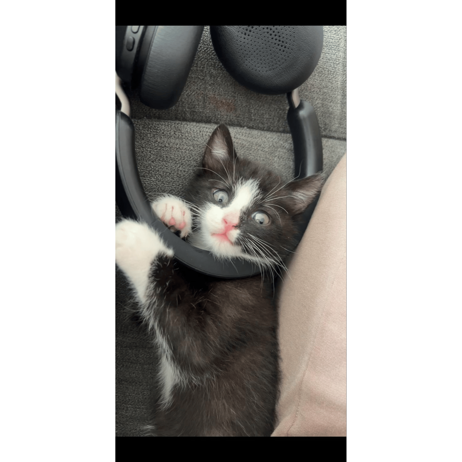 Mister Bean
