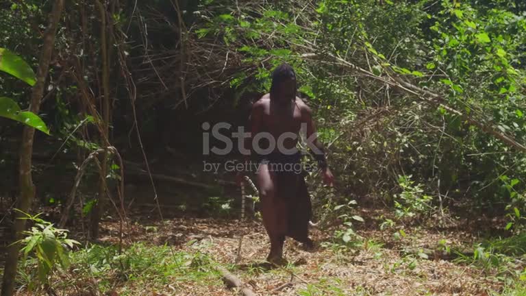 Jungle