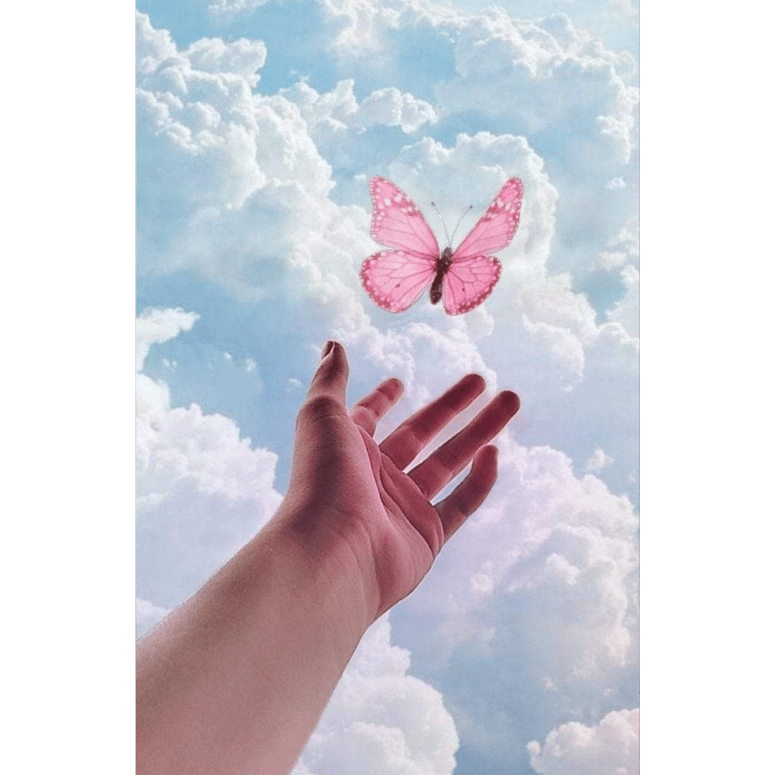 Butterfly Twirl x