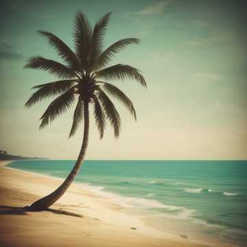 Island Love
