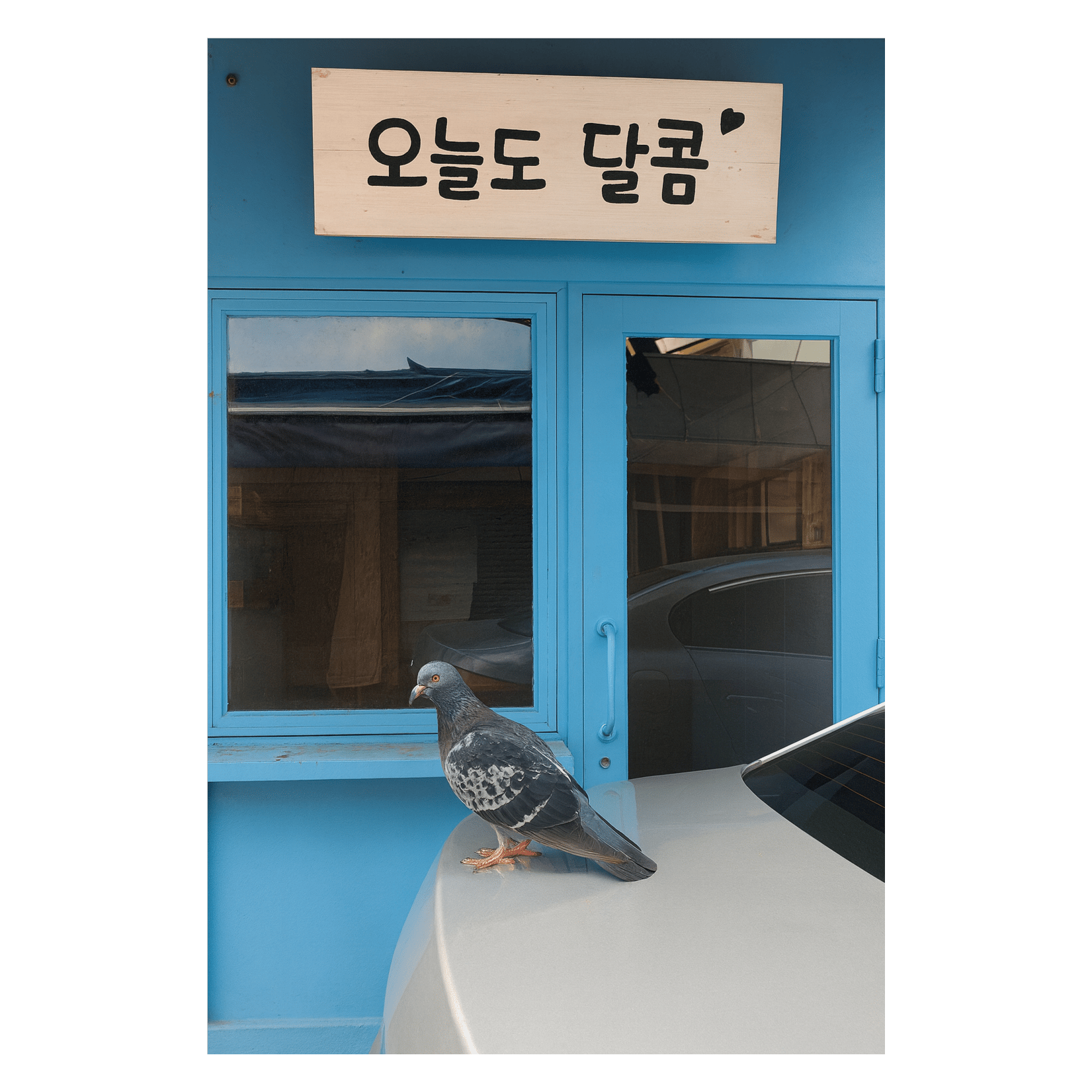 오늘도 달콤 V5