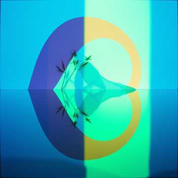 💞 Fragmente 💞