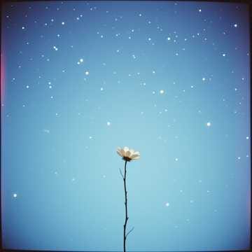 난 처음과 달라진건 없어
"Always the Same Love"