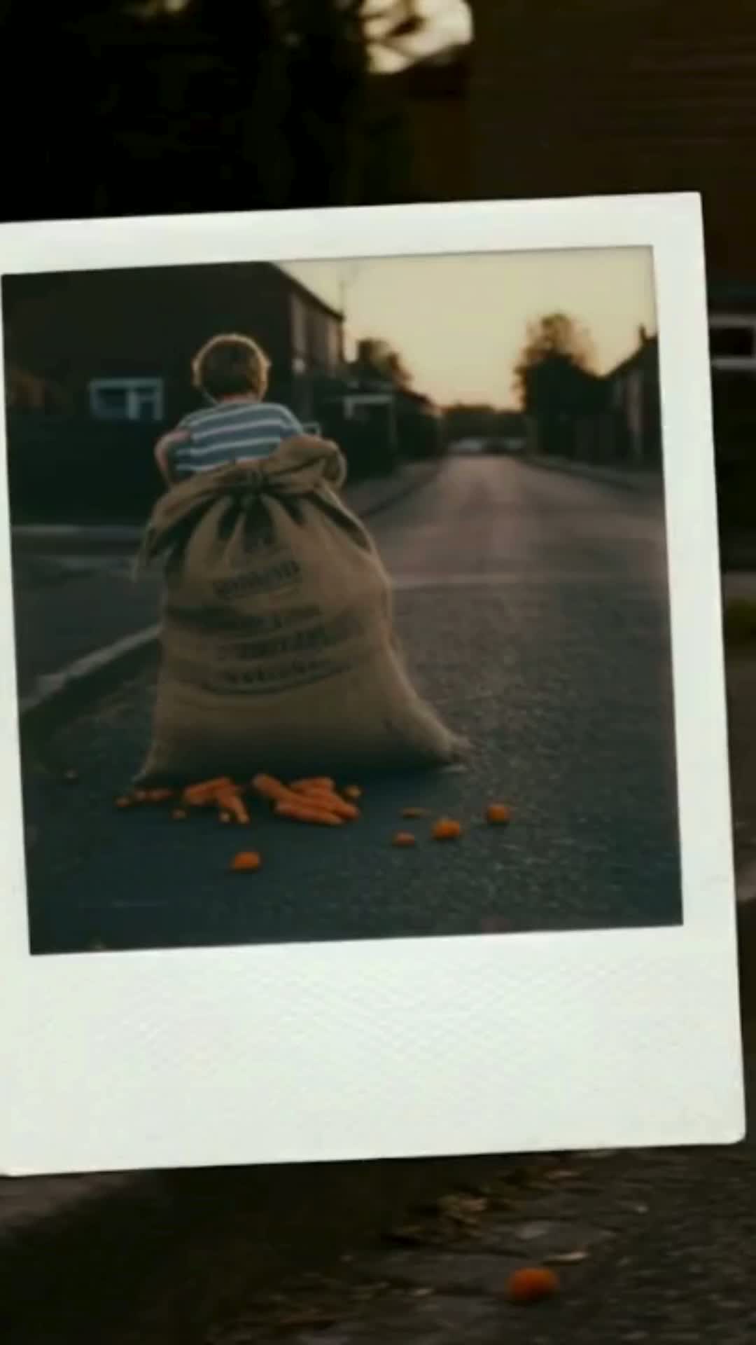 내가 투자한 고구마 (My Sweet Potato Investment)
