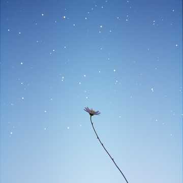 난 처음과 달라진건 없어
"Always the Same Love"