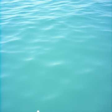 你不知道的溫柔