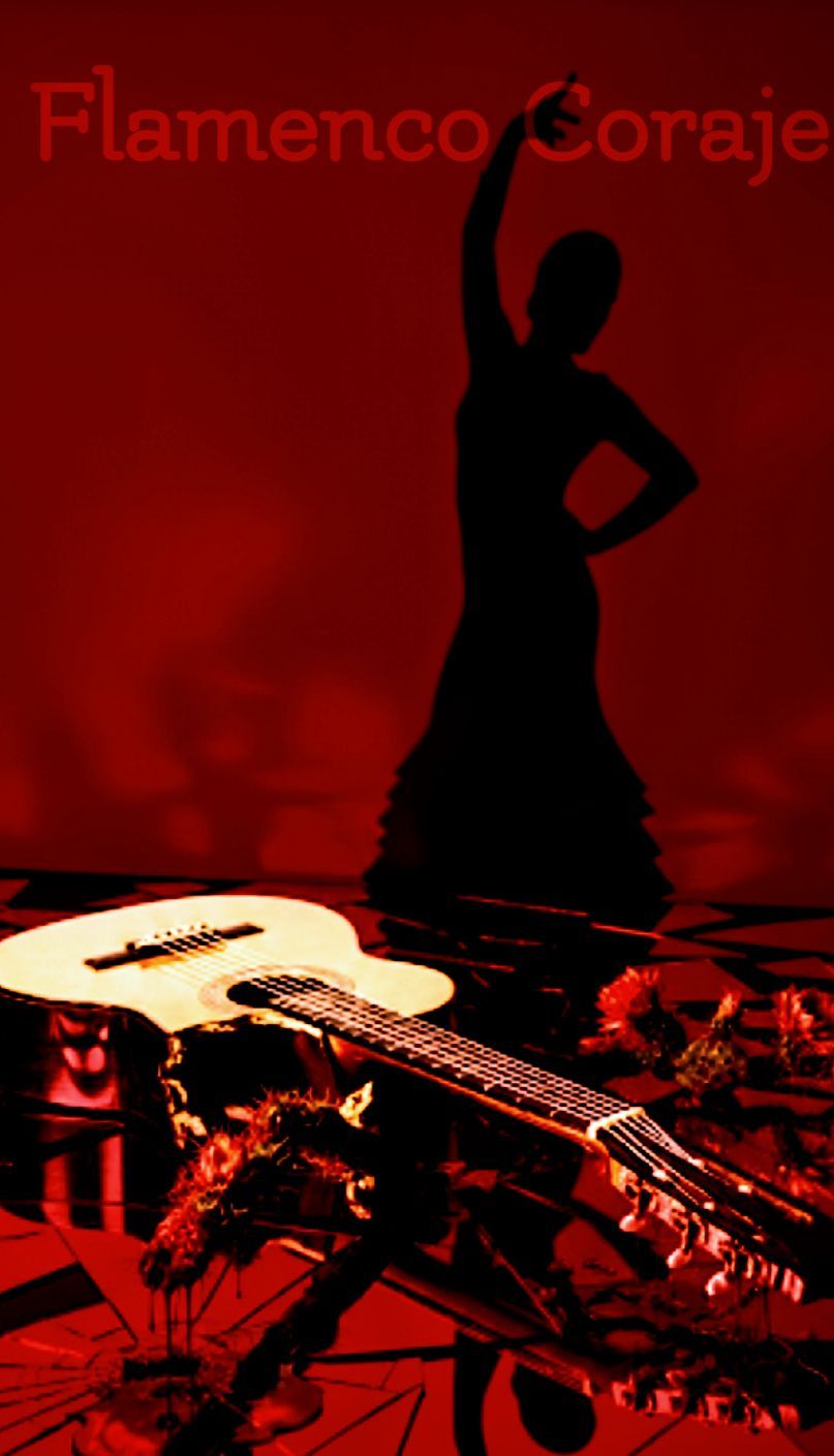 Flamenco Coraje