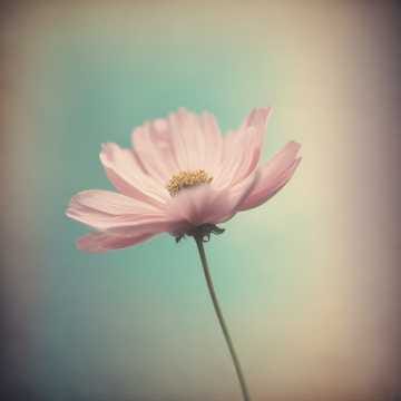 Le bonheur a petite dose