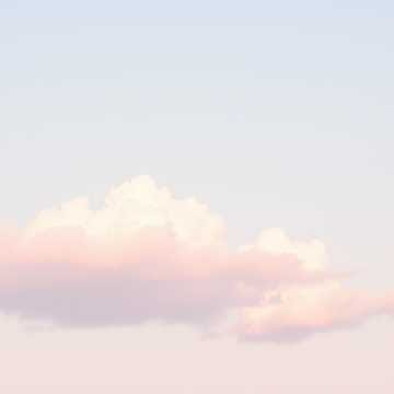 Feeling free over the clouds 