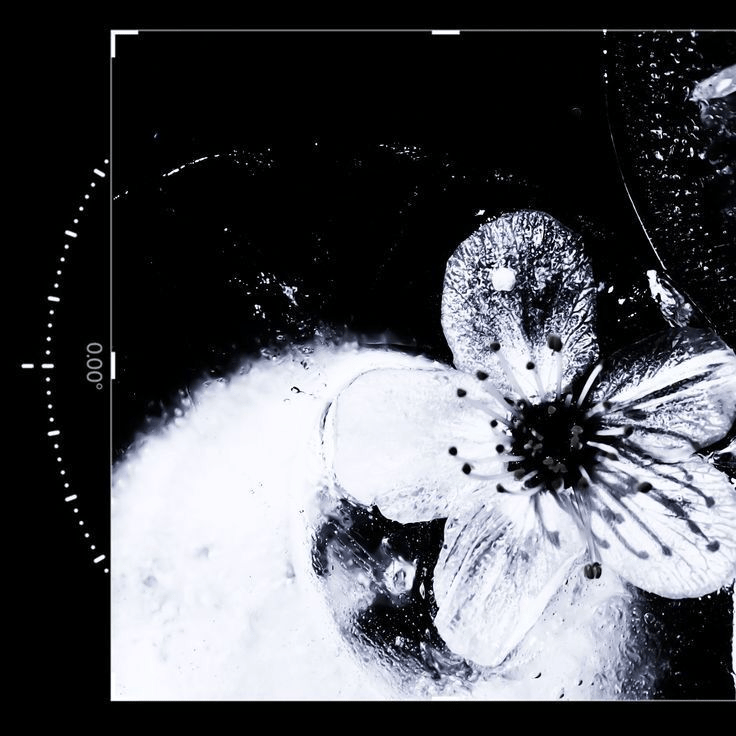 Saturn