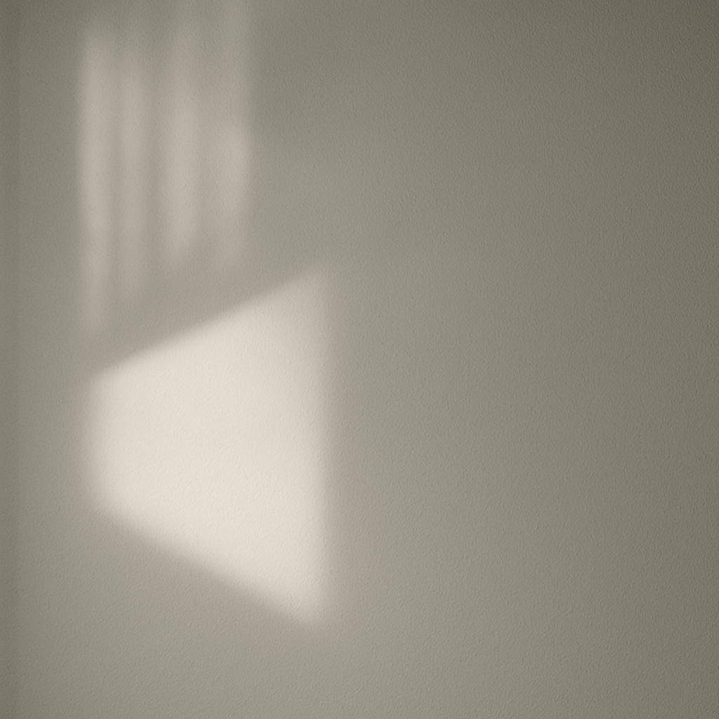  the light you left | 你留下的光 