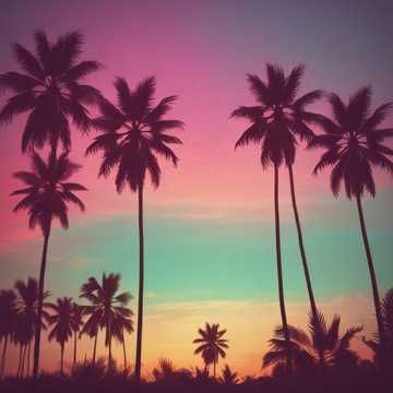 ( 🌴 “Tu Cinturita” 🌴 )...