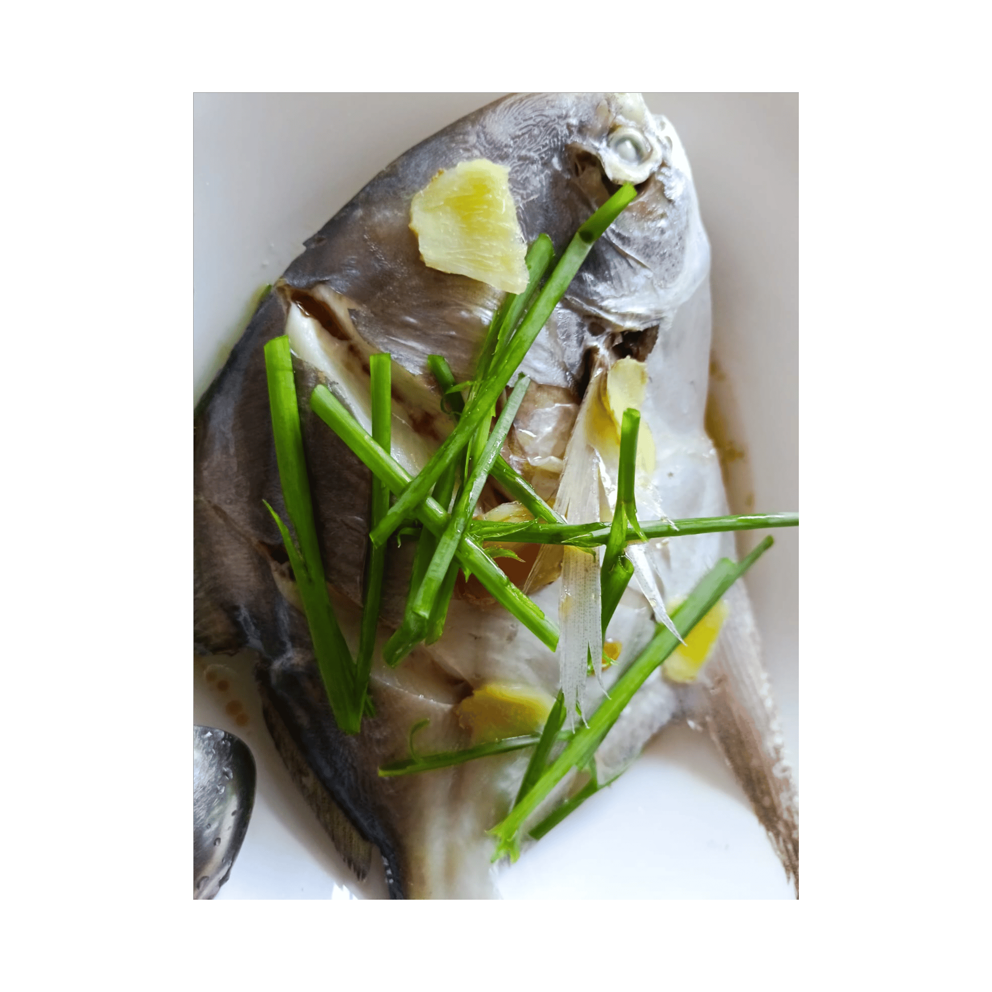 爸爸蒸的鱼 Dad’s Steamed Fish