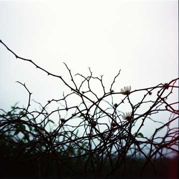Love The Pain (Grunge Mix)