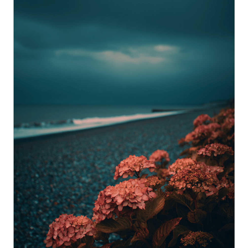 Coastal Normandy (Remastered)
