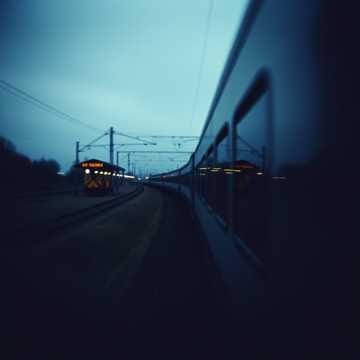 Dans ce train